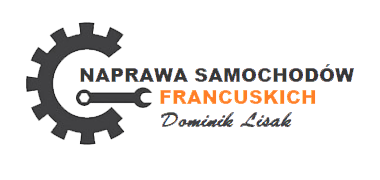 Naprawa Samochod&oacute;w Francuskich Dominik Lisak
